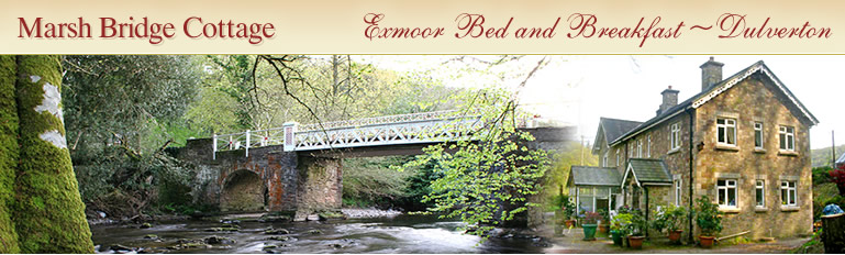 Marsh Bridge Cottage - Exmoor Bed and Breakfast