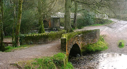 Bed and Breakfast in Dulverton, Exmoor